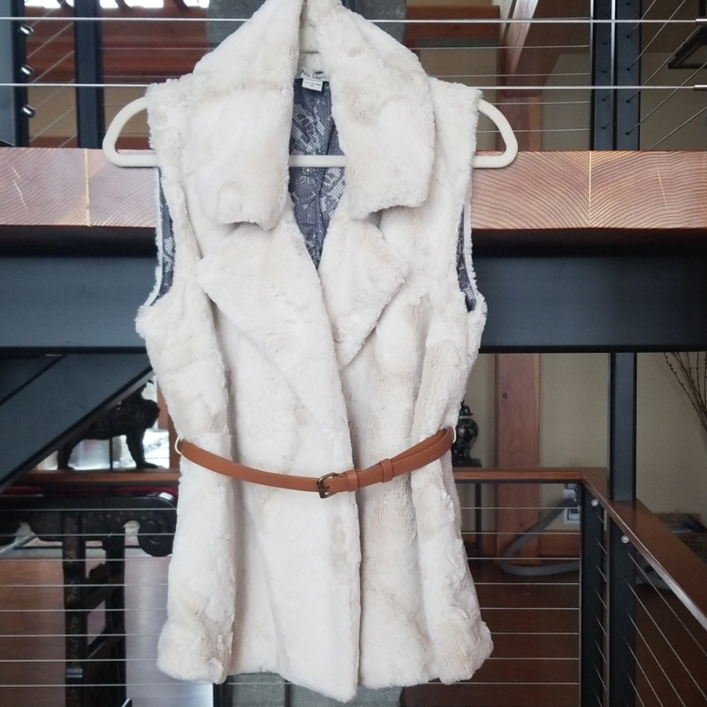 Soft Chic Fur Vest